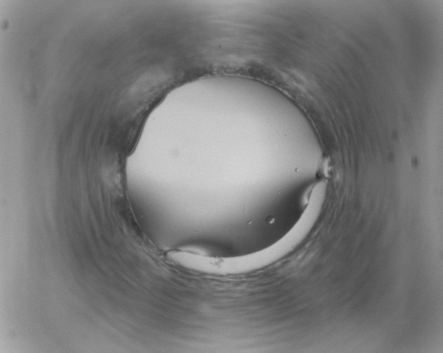 X0000061751252200512302228