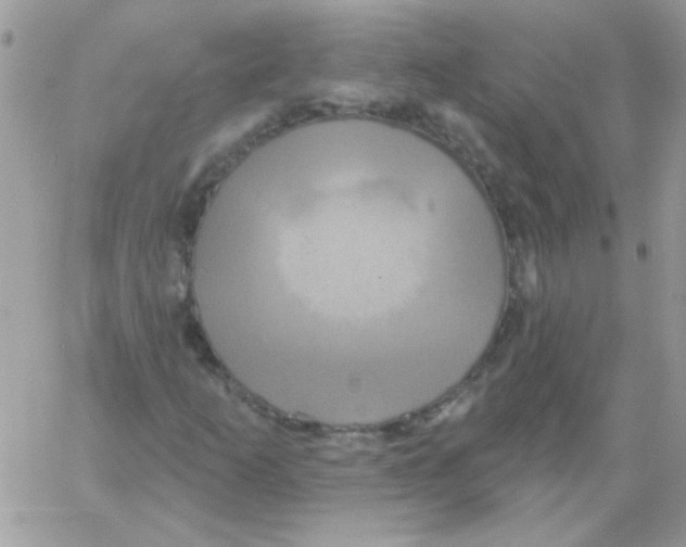 X0000061751253200512302228