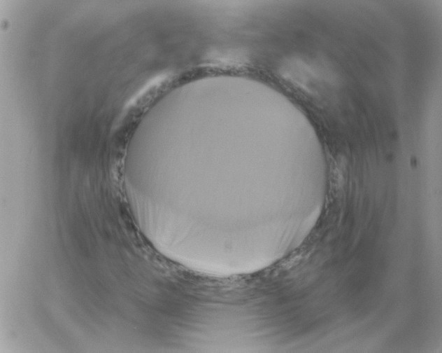 X0000061751254200512302228