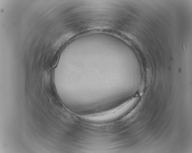 X0000061751257200512302228