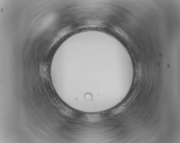 X0000061751258200512302228