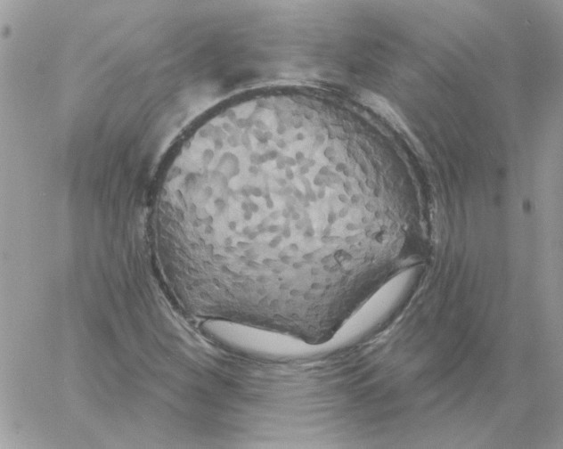 X0000061751260200512302228