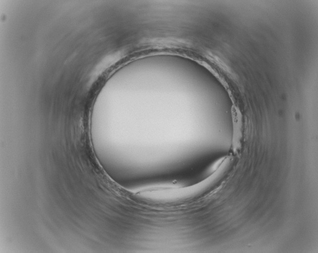 X0000061751261200512302228