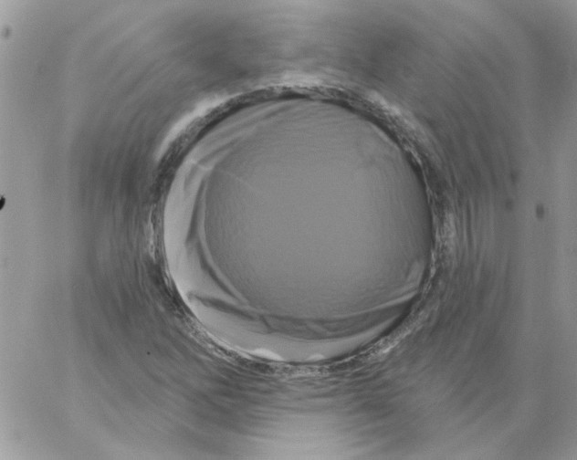 X0000061751262200512302228