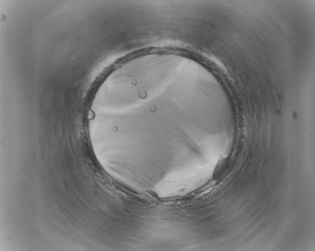 X0000061751263200512302228