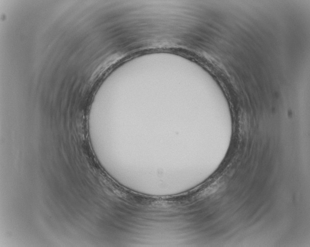 X0000061751265200512302228