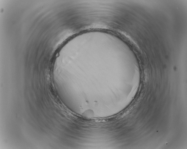 X0000061751266200512302228