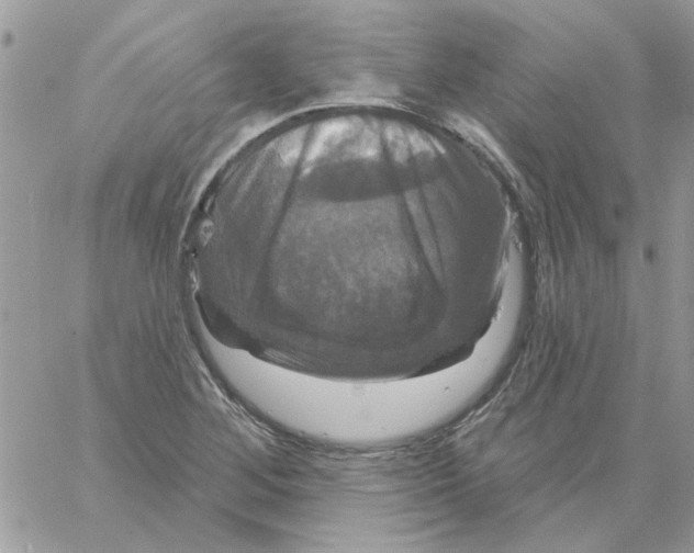 X0000061751268200512302228