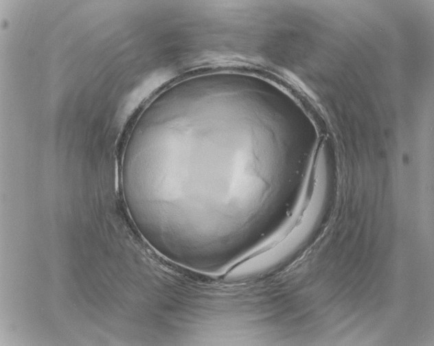 X0000061751269200512302228