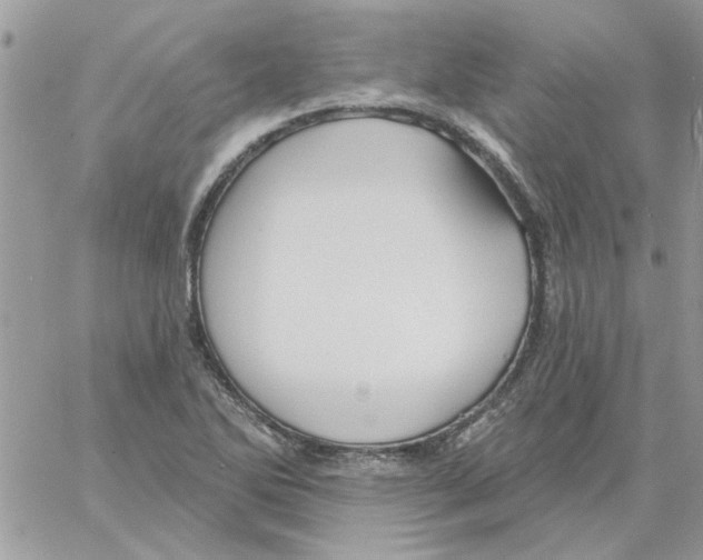 X0000061751270200512302228