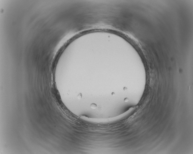 X0000061751271200512302228