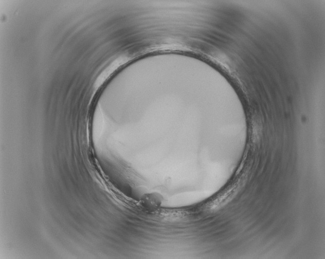 X0000061751274200512302228