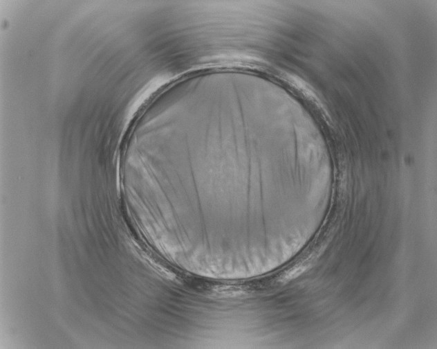 X0000061751275200512302228