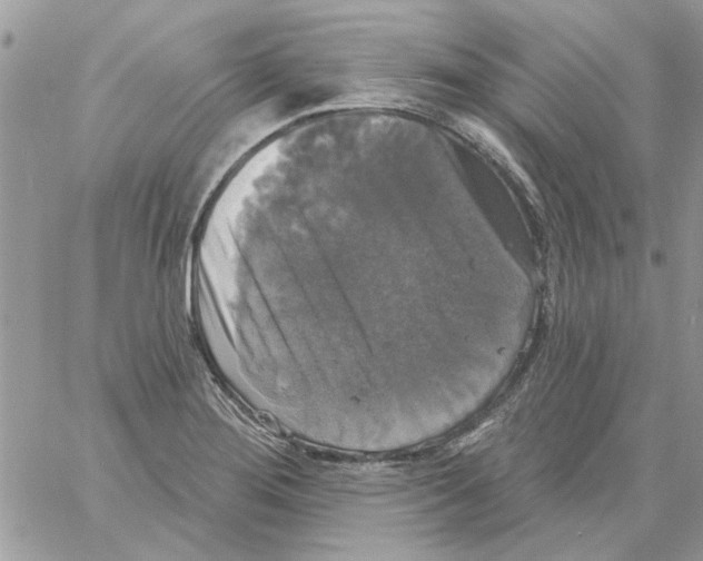 X0000061751276200512302228