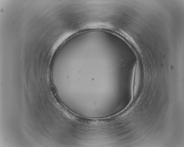 X0000061751277200512302228