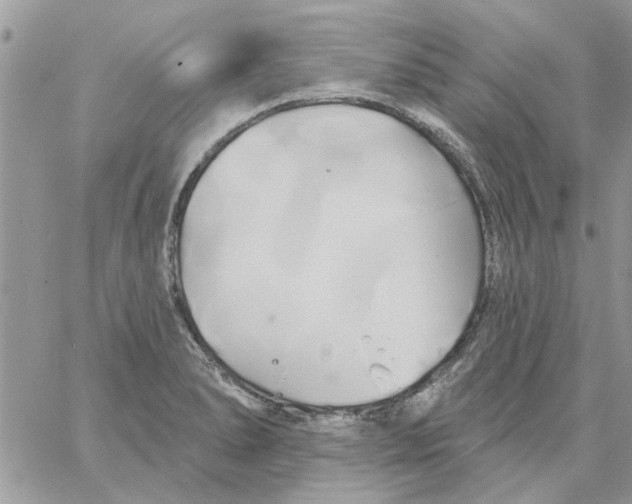 X0000061751278200512302228