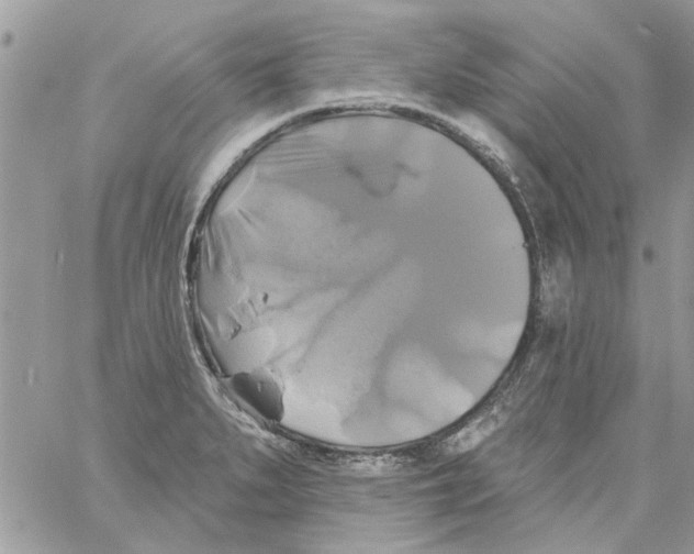 X0000061751279200512302228