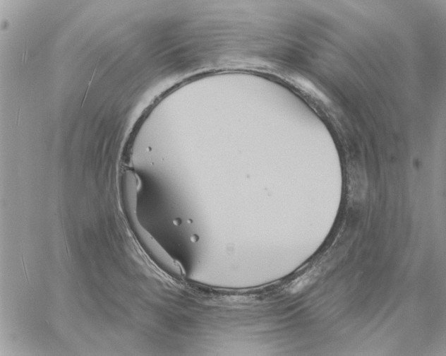 X0000061751280200512302228