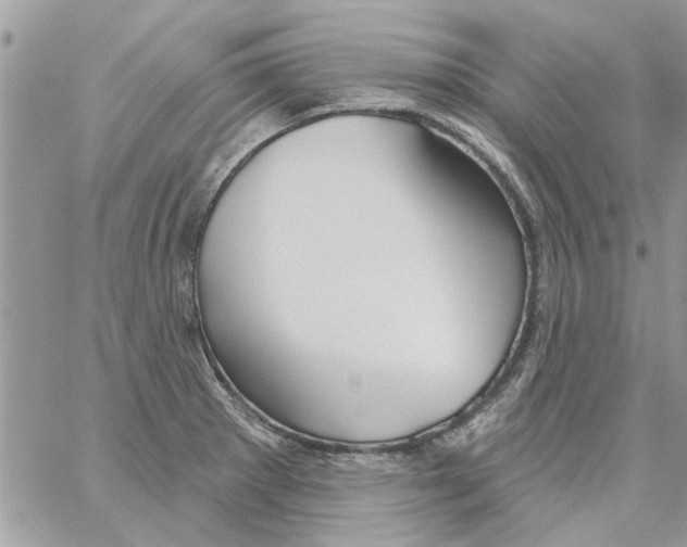 X0000061751281200512302228