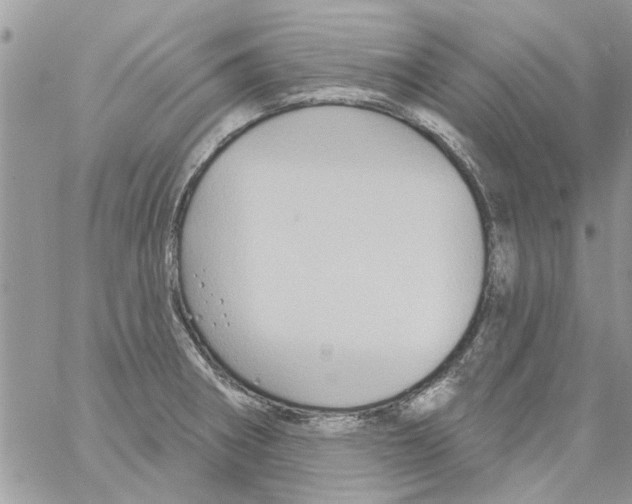 X0000061751282200512302228