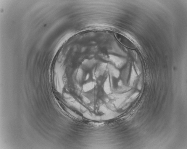 X0000061751283200512302228