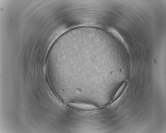 X0000061751284200512302228