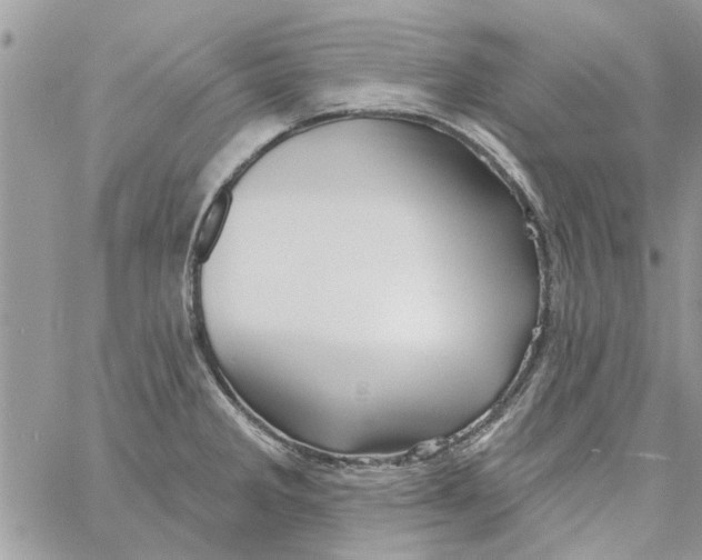 X0000061751285200512302228