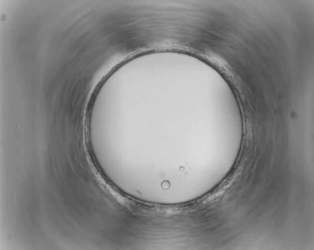 X0000061751286200512302228