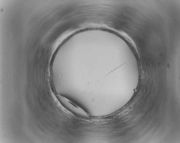 X0000061751287200512302228