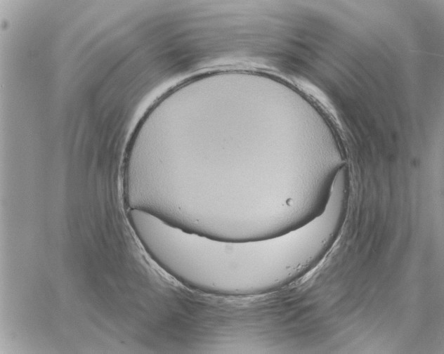 X0000061751288200512302228