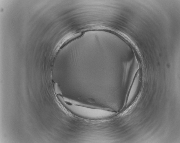 X0000061751289200512302228