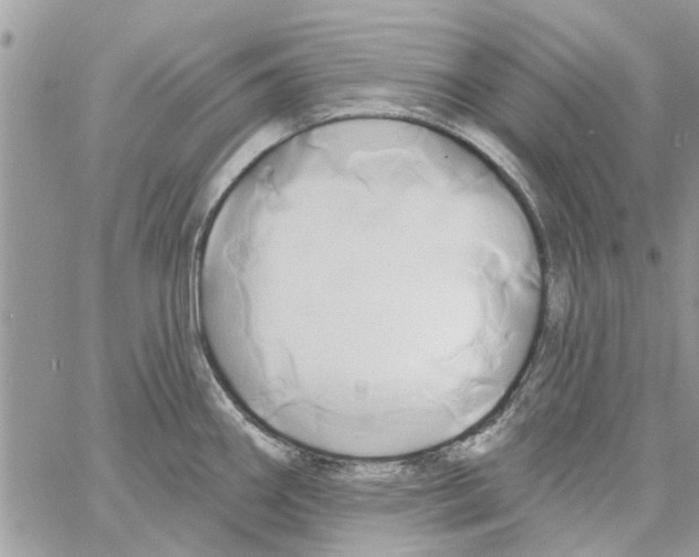 X0000061751290200512302228