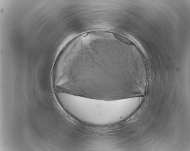 X0000061751291200512302228