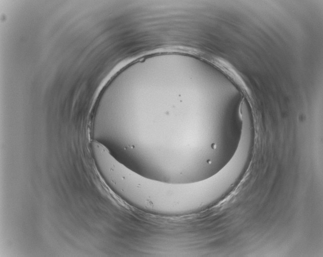 X0000061751292200512302228