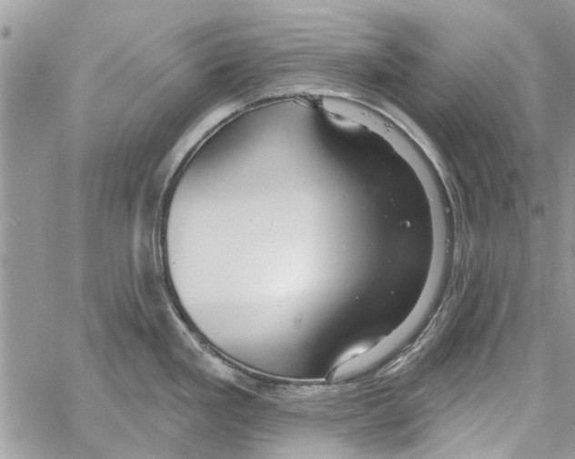 X0000061751293200512302228