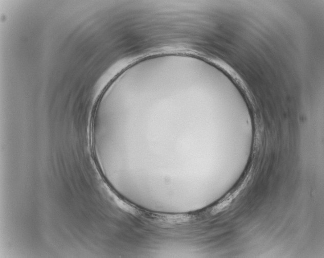 X0000061751294200512302228