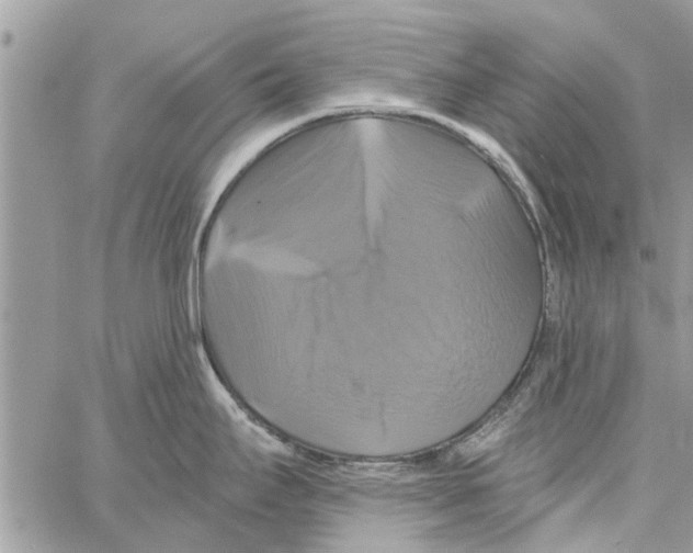 X0000061751295200512302228