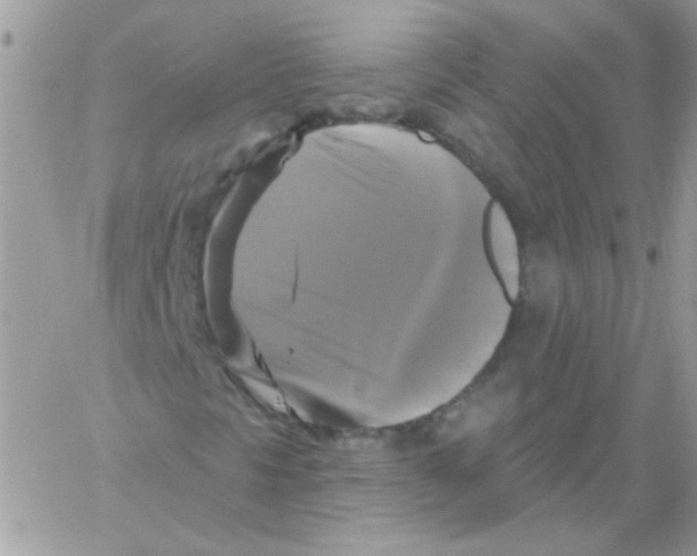 X0000061751297200512302227