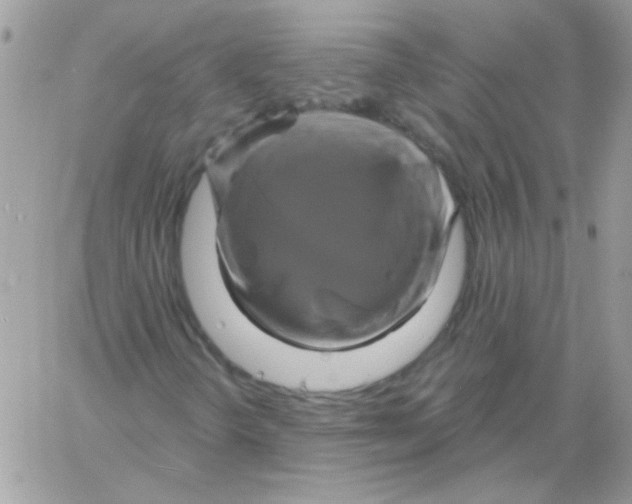 X0000061751298200512302227