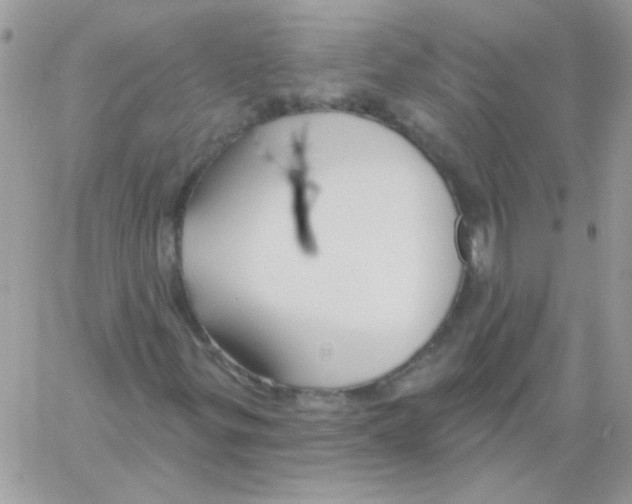 X0000061751299200512302227