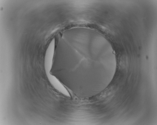 X0000061751301200512302227