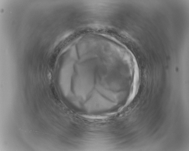 X0000061751302200512302227