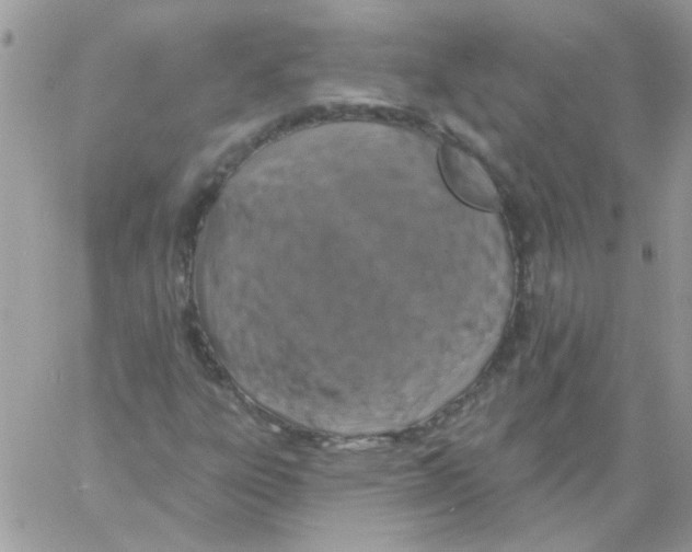 X0000061751303200512302227