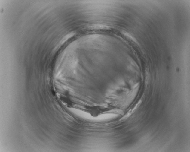 X0000061751305200512302227