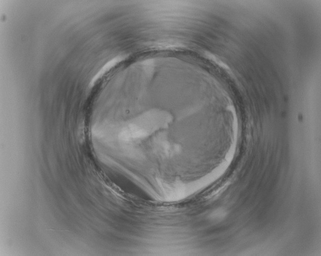 X0000061751306200512302227