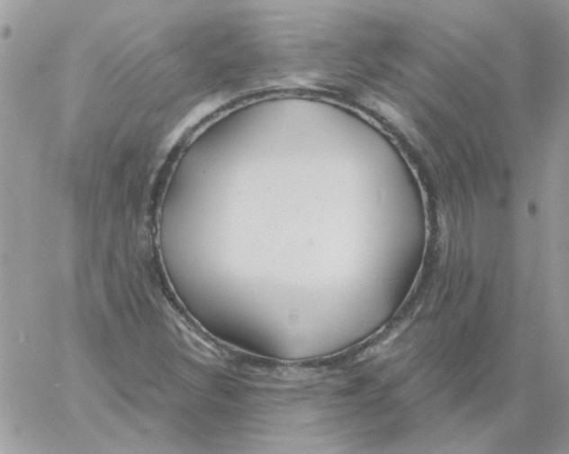 X0000061751308200512302227