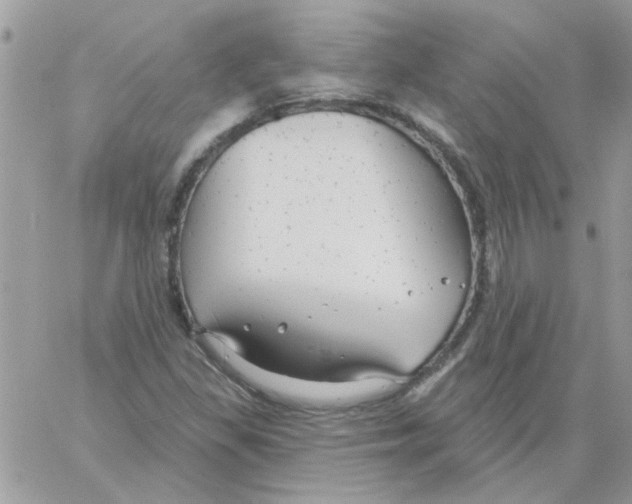 X0000061751309200512302227