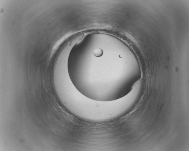 X0000061751310200512302227