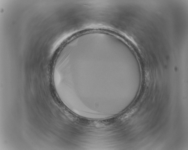 X0000061751311200512302227