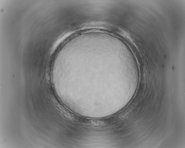 X0000061751312200512302227